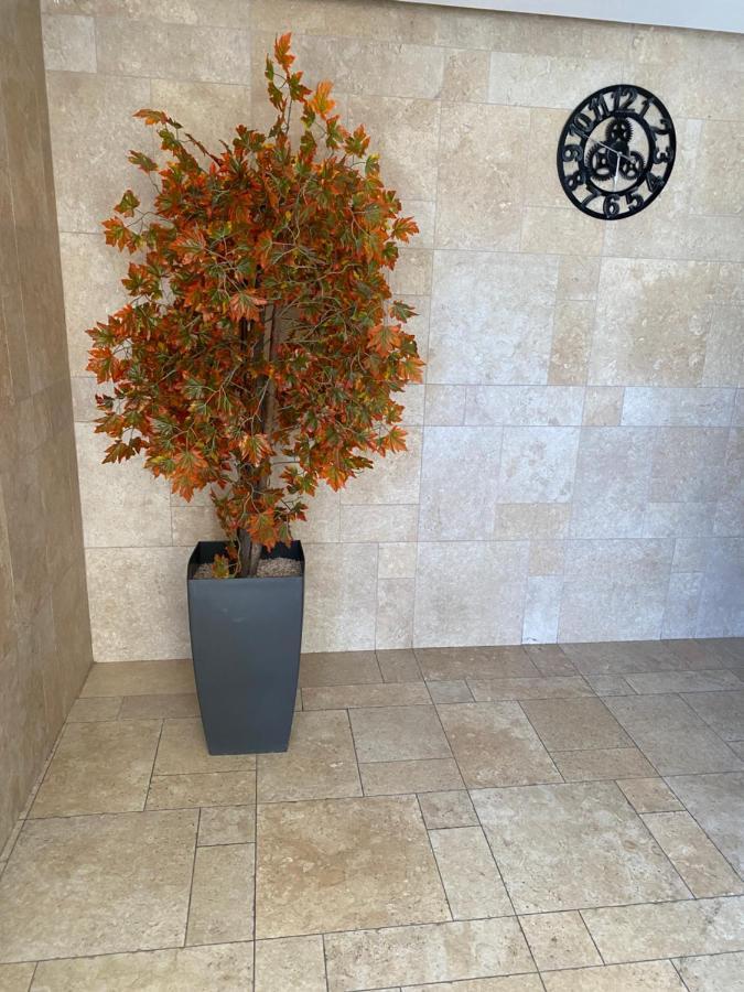 דירות Mobersham'S House In עכו מראה חיצוני תמונה